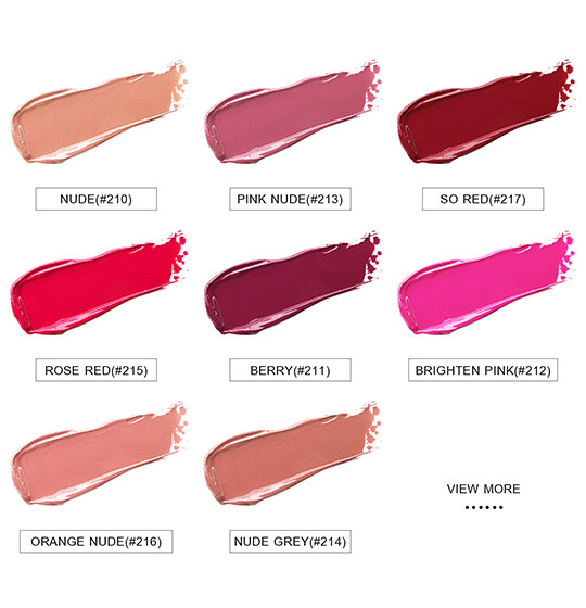 High Pigment Waterproof Multi-Colors Matte Lip Gloss